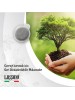 Lugano Caffe E.s.e Pot Pet Strong Deneme Paketi 50 Li